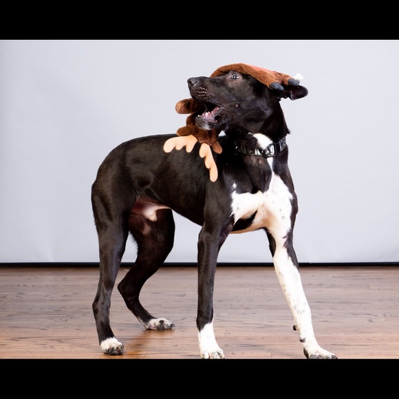 Meet your Posher, Angela - Picture 4 of 6